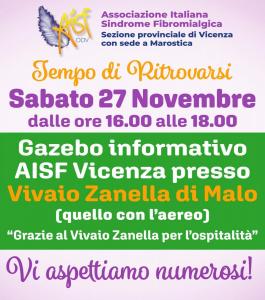 Vicenza-27-novembre